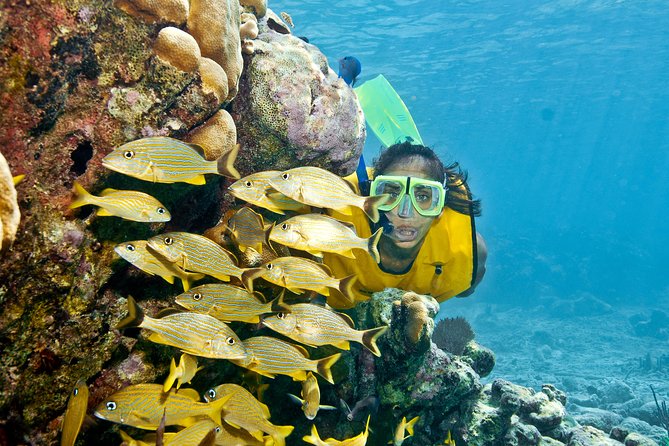 Mayan Adventure Snorkeling Tour from Playa del Carmen or Riviera Maya - Stop One at Aventuras Mayas: Where Jungle Cenote Time Starts