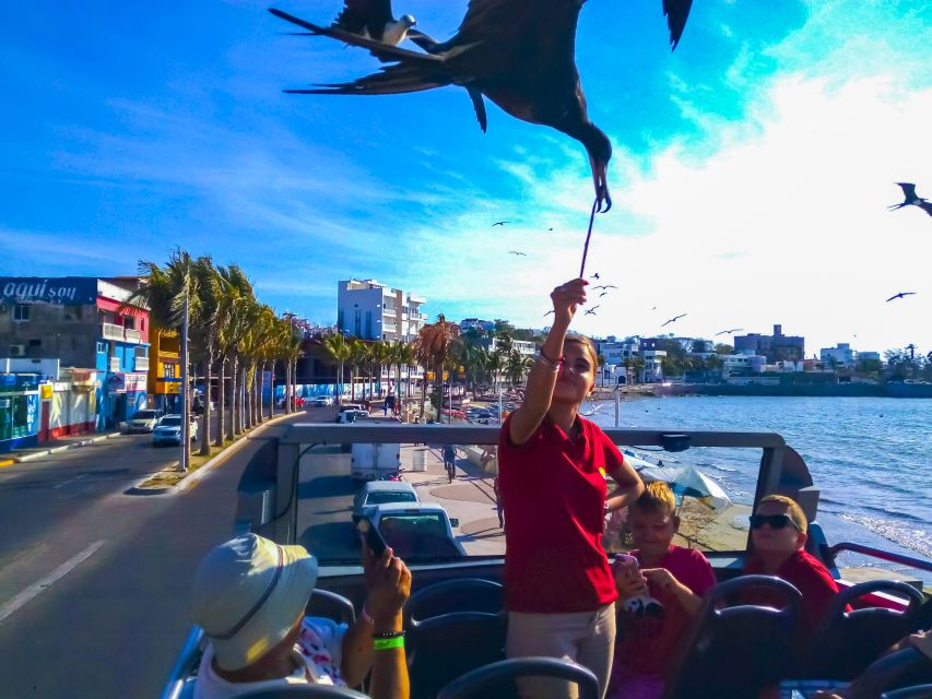 Mazatlán: Double-Decker Bus, Cliff Diving & Walking Tour - Cathedral time: The Cathedral of the Immaculate Conception