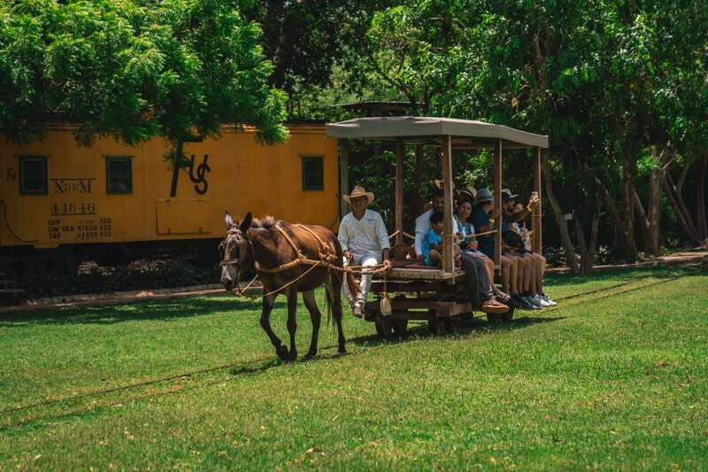 Merida: Hacienda Sotuta de Peon w/ Cenote & Henequen Tour - Key things to know before you go