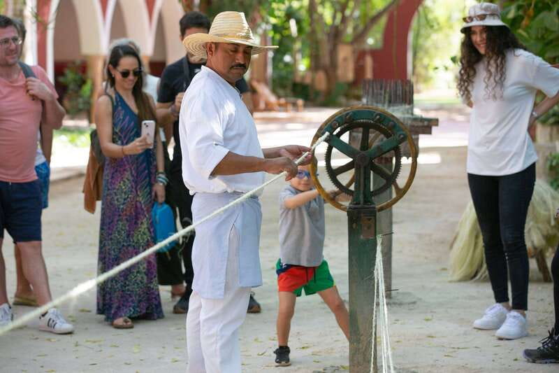 Merida: Hacienda Sotuta de Peon w/ Cenote & Henequen Tour - The Trucks ride: agave fields, Decauville rails, and mule power