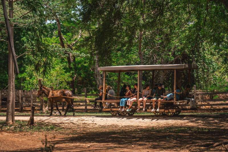 Merida: Hacienda Sotuta de Peon w/ Cenote & Henequen Tour - Should you book Sotuta de Peón with cenote and henequen tour?