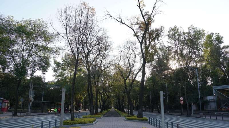 Mexico City: 19 City Highlights Bicycle Tour - Practical Tips to Make Your Ride Smoother
