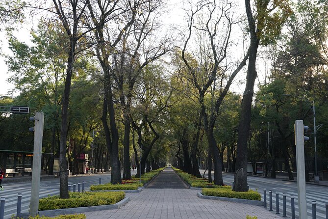 Mexico City: 19 City Highlights Bicycle Tour - Reforma-area monuments and the big visual hits
