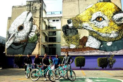 Art Naco, murals & street art bike tour