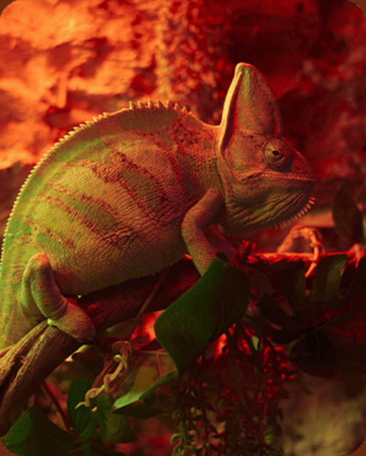 Mexico City: Fast Pass Ticket to Acuarium Inbursa - Key Things I’d Watch For