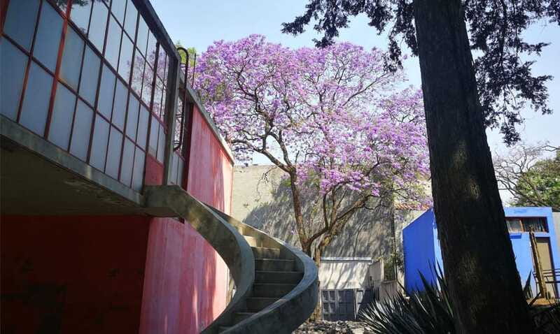 Mexico City: Frida Kahlo-Diego Rivera Studio House Tour - Skip the ticket line and make the most of a small space