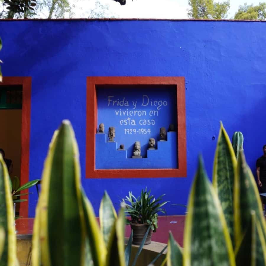 Mexico City: Frida Kahlo Museum Tour - Key Highlights You’ll Care About