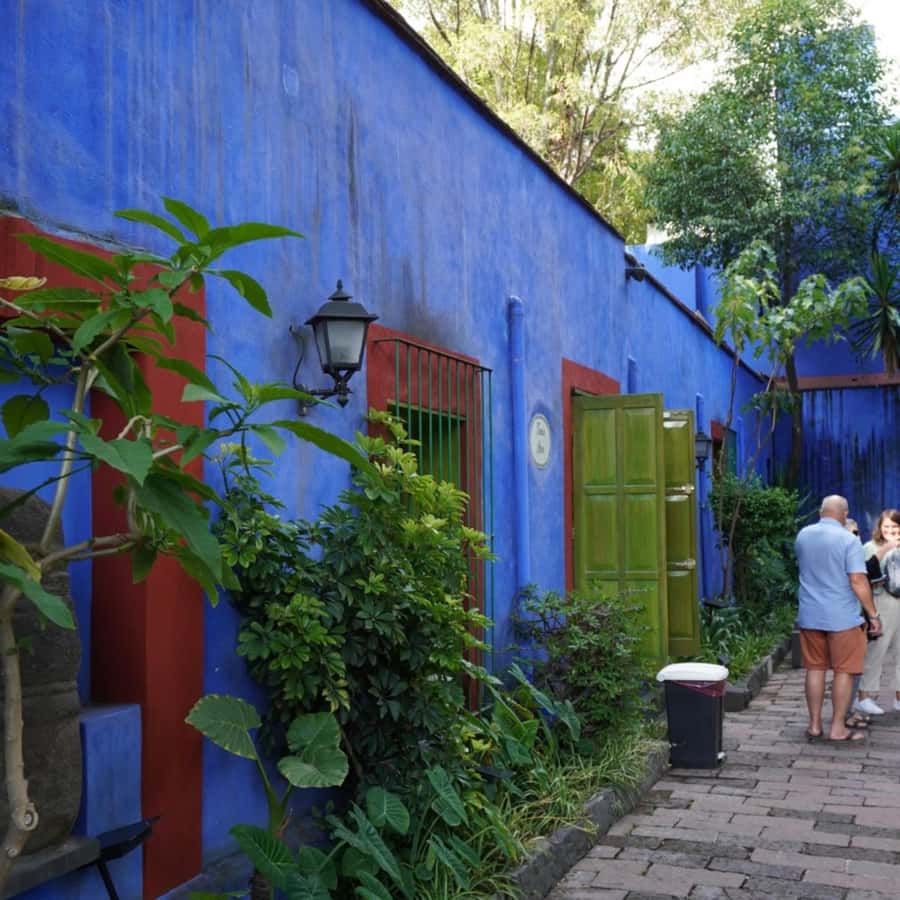 Mexico City: Frida Kahlo Museum Tour - The Guide Is the Difference, Especially With Frida and Mexican History