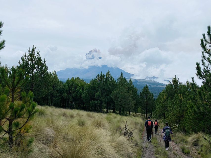 Mexico City: Guided Volcano Trek with Lunch - Price and value for a $105 guided day in Puebla