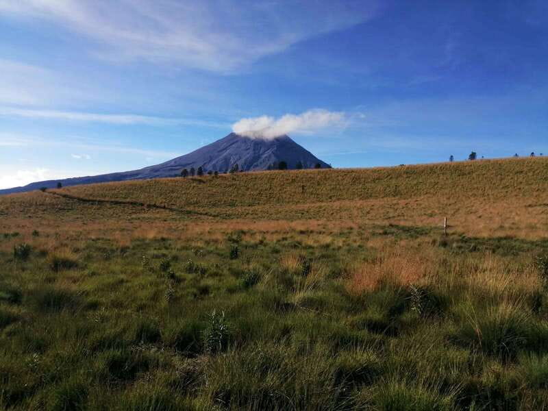 Mexico City: Guided Volcano Trek with Lunch - Should you book this guided volcano trek with market lunch?