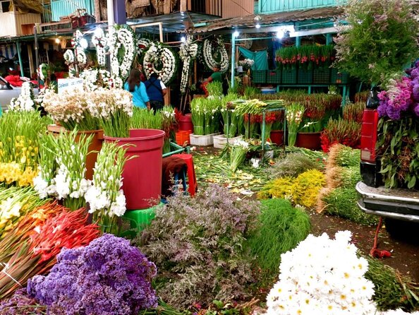 Mexico City: Hidden Markets, Street Food & Salsa-Making Tour - Who should book this tour, and who should skip it