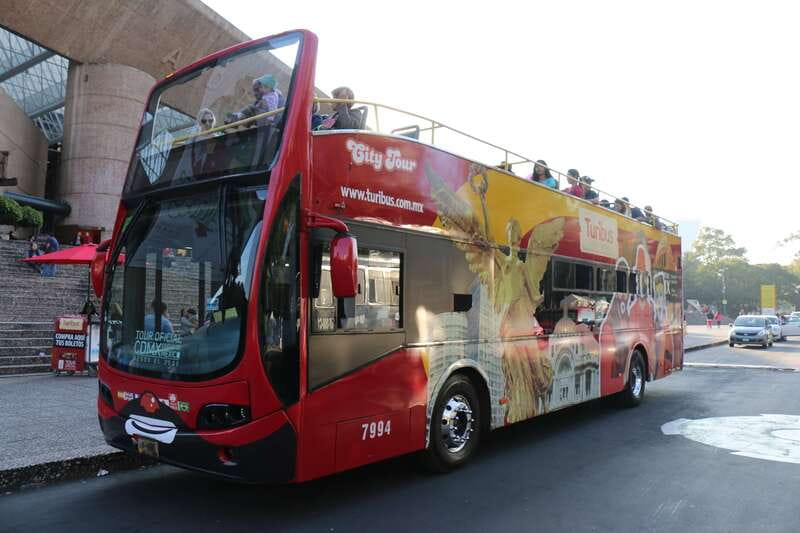 Mexico City: Hop-on Hop-off Bus Tour - South route and Coyoacán: markets, Frida Kahlo, and the UNAM area