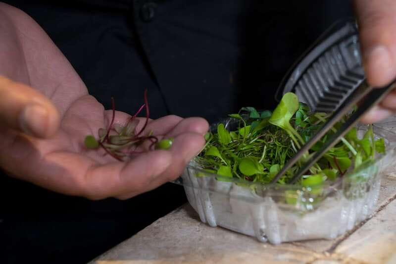 Mexico City: Mexican Cooking Class - Chefs Make the Difference: Jose, Hector, Ile, and Others