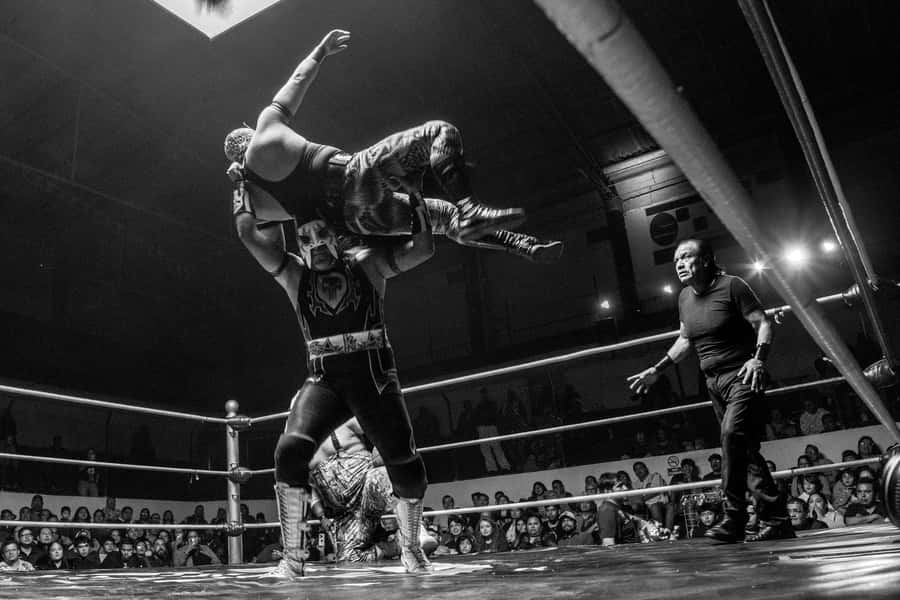Mexico City: Mexican Evening, Lucha Libre and Tequila - Key things that make this tour worth your evening