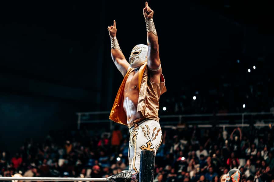 Mexico City: Mexican Evening, Lucha Libre and Tequila - Pulque and tacos options, what’s included and what needs your wallet