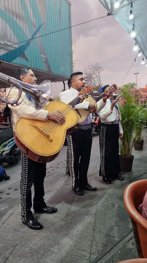 Mexico City: Mexican Evening, Lucha Libre and Tequila - What to bring, and how to act in the arena like you belong