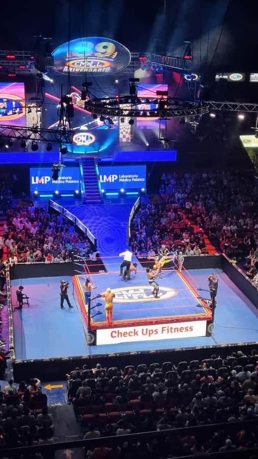 Mexico City: Mexican Evening, Lucha Libre and Tequila - Who this Mexico City night experience fits best