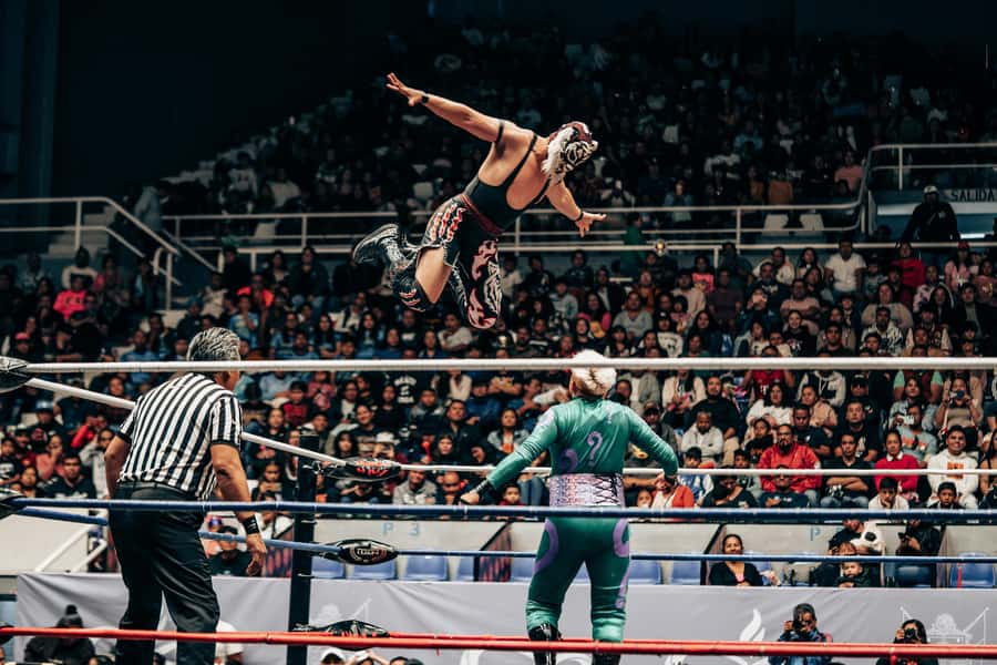 Mexico City: Mexican Evening, Lucha Libre and Tequila - Night walk through Centro Histórico, with wrestling shops and mural time
