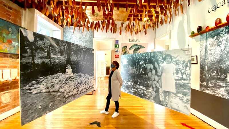 Mexico City: MUCHO Museum of Chocolate Entrance Ticket - The free guided visit that actually engages you