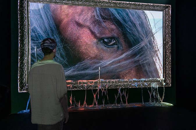 Mexico City: Mystika Inmersivo Entrance Ticket - Photo gallery included: how to plan your shots without breaking the rules