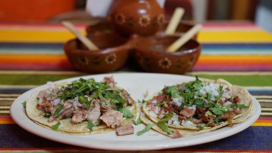 México City: Street Food to Home Cooking Food Tour - Price and Value: Is $110 Worth It for This Much Food?