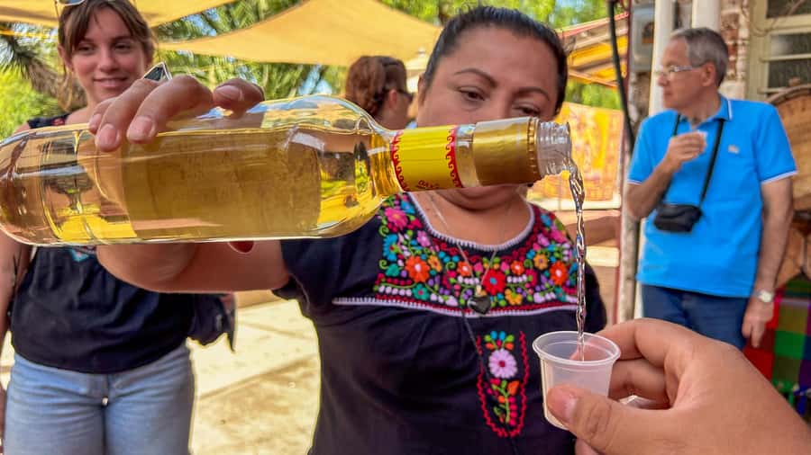 Mexico City: Teotihuacan, Tlatelolco & Guadalupe Shrine Tour - Obsidian Workshop and the Tequila, Spirits, and Agave Part