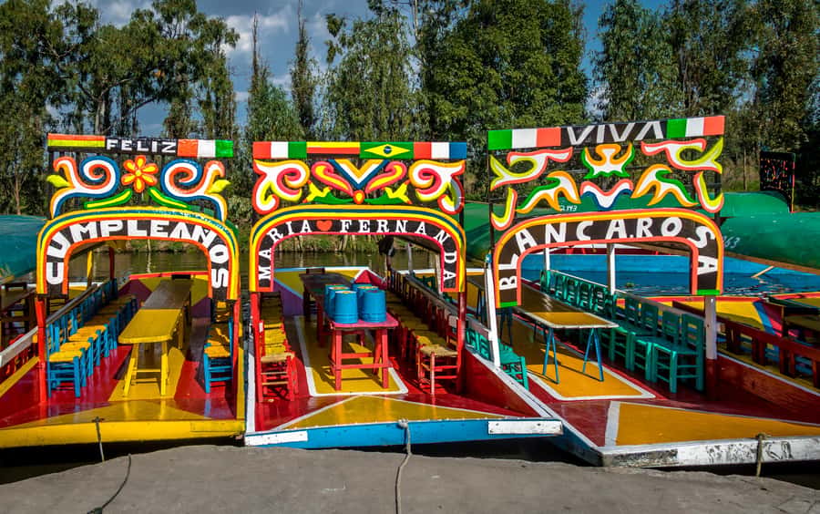 Mexico City: Xochimilco and Coyoacán Tour with Frida Kahlo Museum Option - One full day, four major stops, and a smart pace