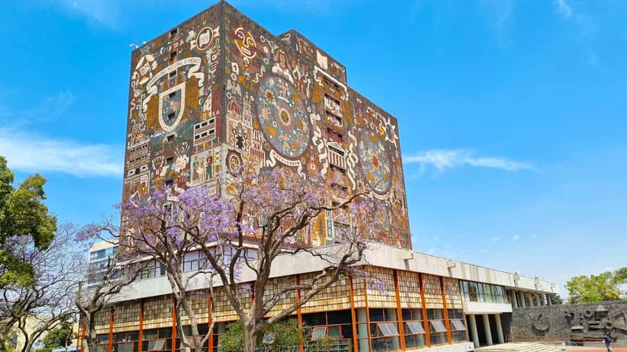 Mexico City: Xochimilco and Coyoacán Tour with Frida Kahlo Museum Option - The artisan cooperative stop that actually helps local makers