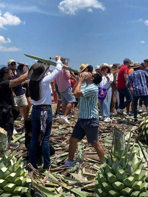 Mezcal Tour Oaxaca - Practical tips: simple rules that keep the day comfortable