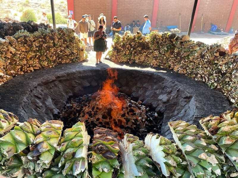 Mezcal Tour Oaxaca - Who this tour suits best, and who might want a different plan