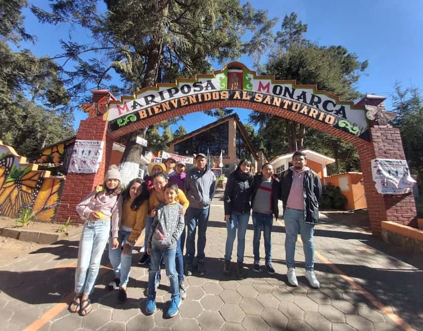 Monarch Butterfly - Why the El Rosario Monarch Sanctuary is worth a long day from Morelia