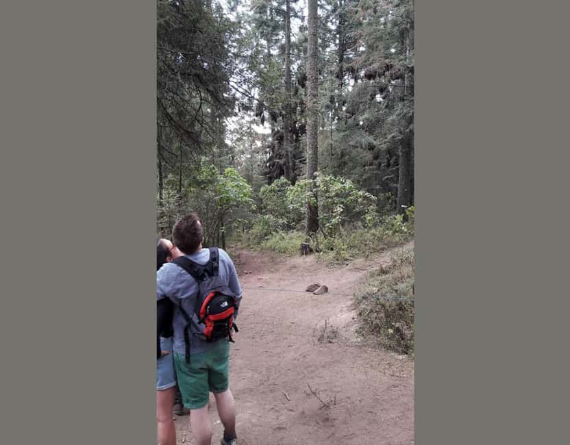 Monarch Butterfly - Altitude and pace: what makes this tour tough for some people