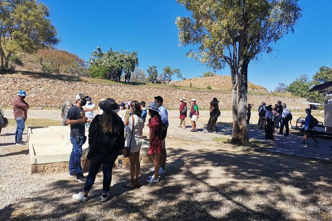 Monte Alban - Full Day Guided Tour with or without Food - Oaxaca - Smooth Pickup From Oaxaca City (and Why It Matters)