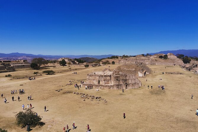 Monte Alban - Full Day Guided Tour with or without Food - Oaxaca - Alebrijes in San Martín Tilcajete: Wood Carving and Creative Design