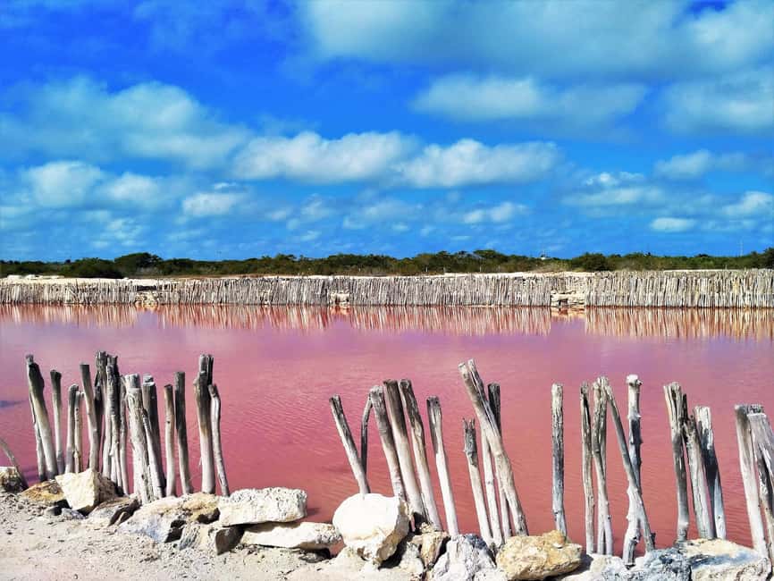 Motul, Hacienda, Xcambo, Pink Salt Mine & Progreso Day Trip - Xcambó archaeological zone: Maya temples and coastal time