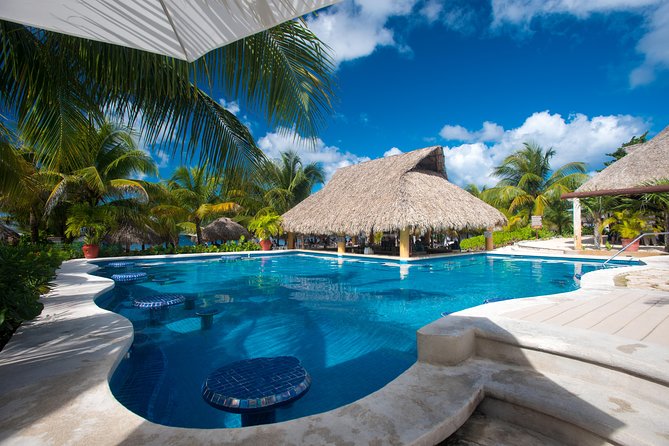 Mr. Sanchos Beach Club All-Inclusive Day Pass - Mr. Sancho’s Layout: Beachfront Space, Palapas, and Where the Action Is