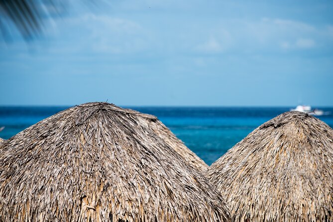 Mr. Sanchos Beach Club All-Inclusive Day Pass - Food and Drinks: Buffet Meals, Bottomless Bar Service, and What to Expect