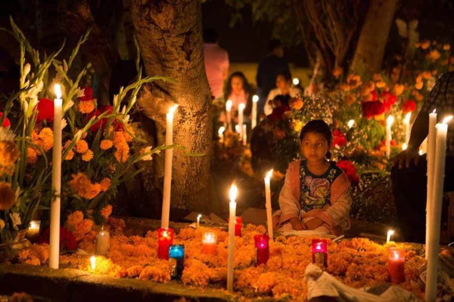 Oaxaca: Day of the Dead Tour - Meeting at La Merced Square, timing, and what actually helps