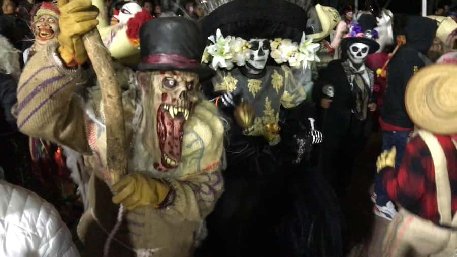 Oaxaca: Day of the Dead Tour - Should you book this Oaxaca Day of the Dead tour?