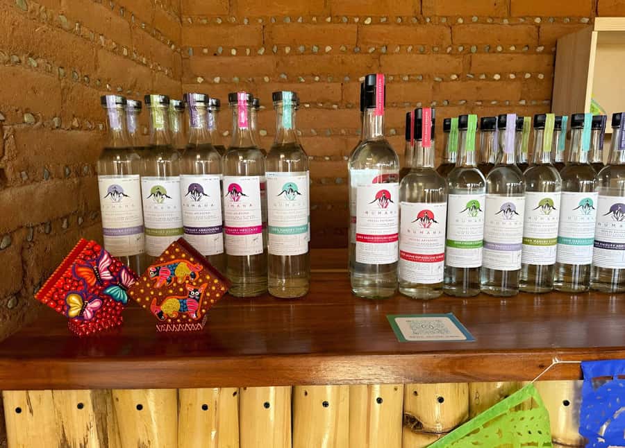 Oaxaca: full-day tour of Monte Alban, ancestral mezcal, alebrijes, and black mud - First Stop: Meeting at the Macedonio Alcalá Theater, Then Rolling Out