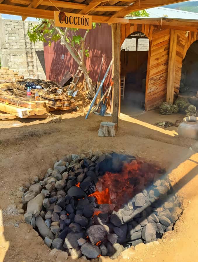 Oaxaca: full-day tour of Monte Alban, ancestral mezcal, alebrijes, and black mud - Timing, Transportation, and the Built-In Breaks