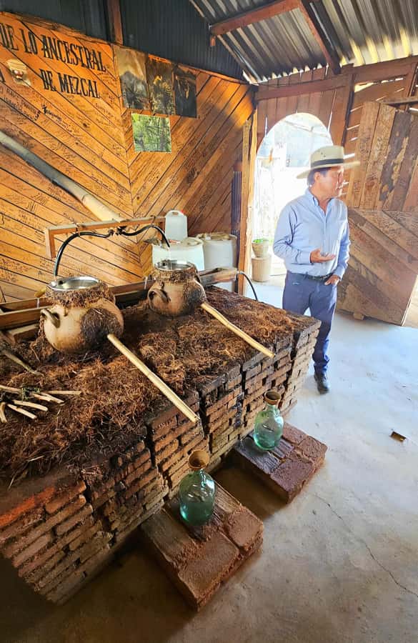 Oaxaca: full-day tour of Monte Alban, ancestral mezcal, alebrijes, and black mud - Who Should Book This Oaxaca Tour, and Who Should Skip It?