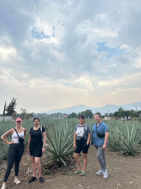 Oaxaca: Hierve el Agua & Mezcal Distillery Small-Group Tour - Key highlights I’d circle