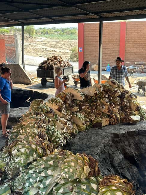 Oaxaca: Hierve el Agua & Mezcal Distillery Small-Group Tour - Lunch and Food Strategy: Eat Before Mezcal