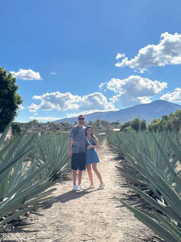 Oaxaca: Hierve el Agua & Mezcal Distillery Small-Group Tour - Who Should Book, and Who Should Reconsider