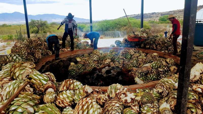 Oaxaca: Mezcal Adventure - Key Highlights You Will Actually Notice