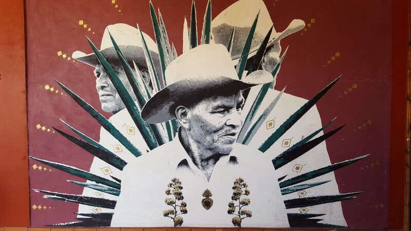 Oaxaca: Mezcal Adventure - The Tasting Portion: How You Learn to Taste Mezcal