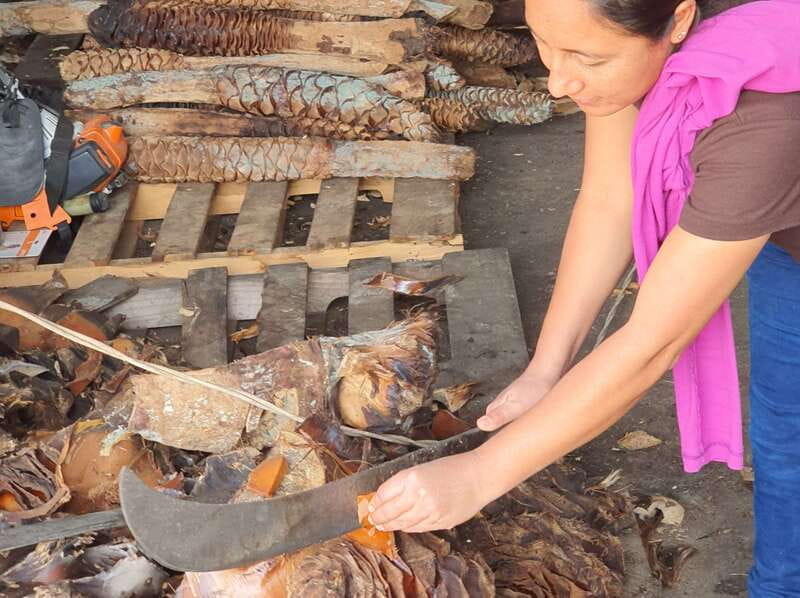 Oaxaca: Mezcal Adventure - Lunch Stop at a Distillery Restaurant