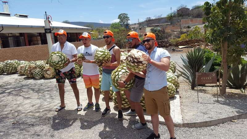 Oaxaca: Mezcal Adventure - The Route: Valley of Tlacolula to Santiago Matatlán