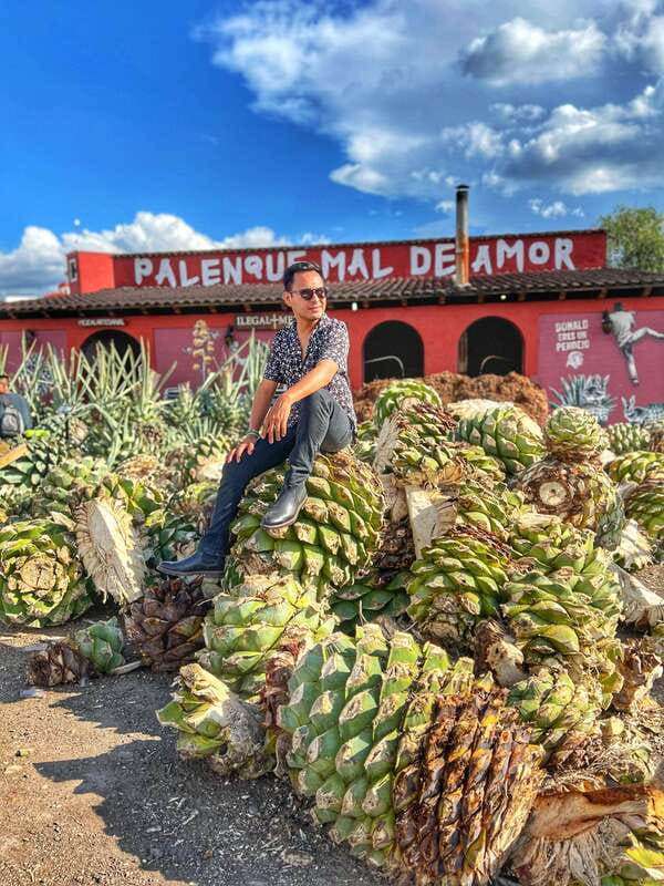 Oaxaca: Monte Albán, Hierve el agua, Mezcal and Teotitlán - Key reasons this Oaxaca day feels worth it